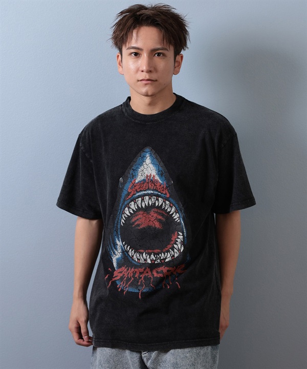SANTACRUZ サンタクルーズ 半袖 Tシャツ メンズ フロントプリント バックプリント 502253411 ムラサキスポーツ限定
