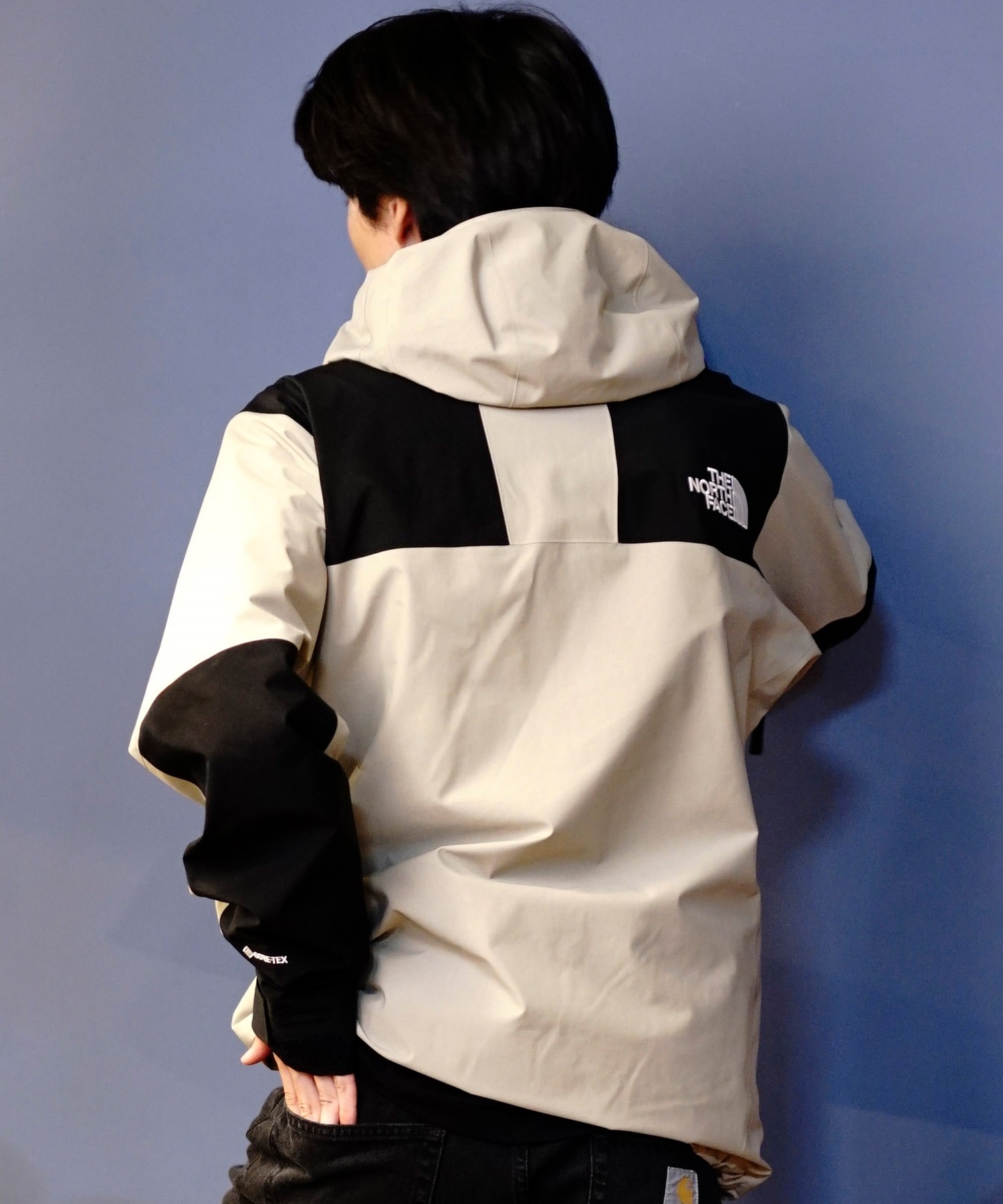 THE NORTH FACE ノースフェイス アウター メンズ 防水 防風 MOUNTAIN JACKET マウンテンジャケット GORE-TEX NP61800(K-S)