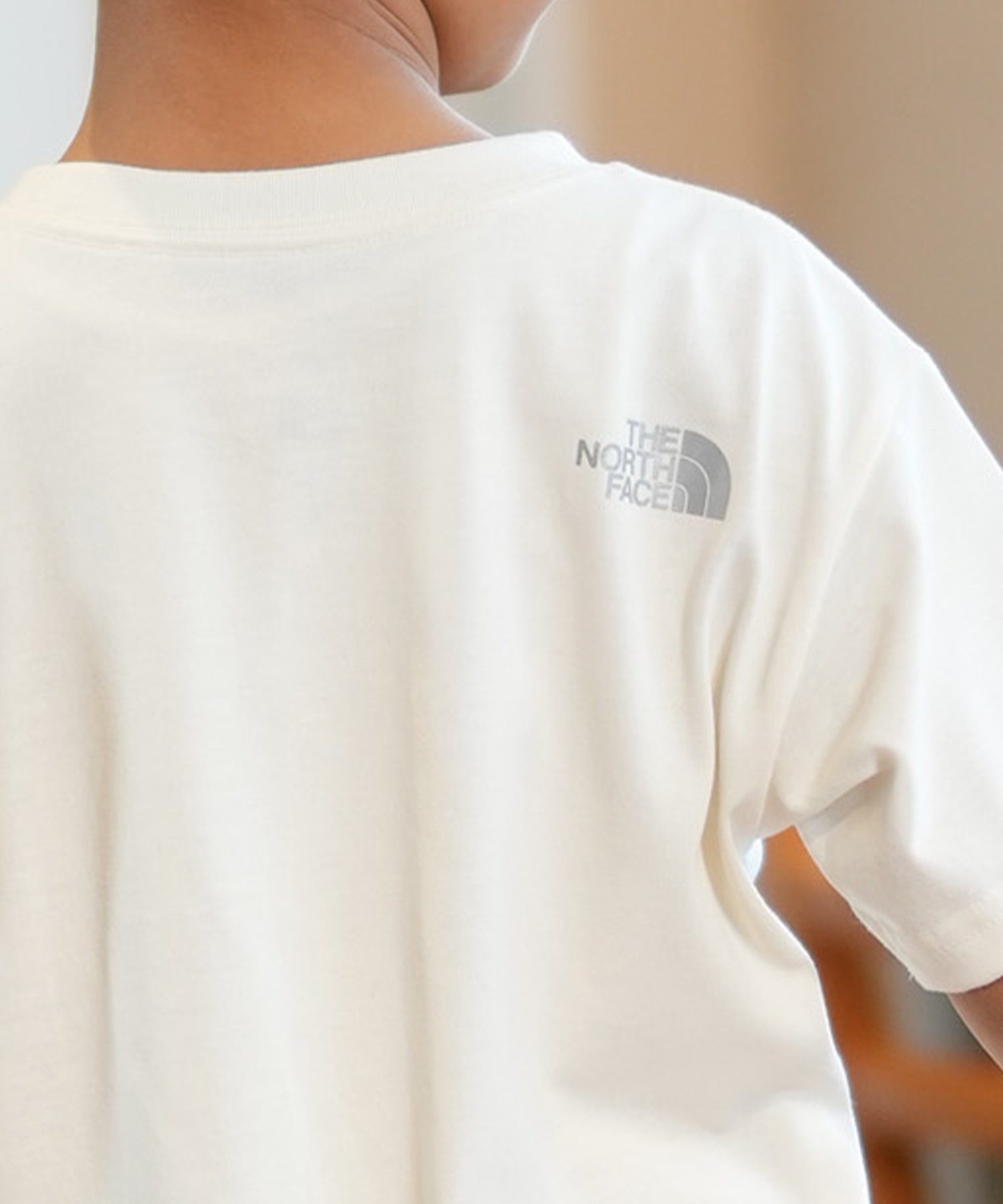 THE NORTH FACE ザ・ノース・フェイス Tシャツ キッズ 半袖 吸汗速乾 UVカット ショートスリーブゲットモテッドグラフィックティー NTJ32575(WD-130cm)