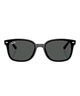 Ray-Ban レイバン サングラス UVカット 紫外線対策 0RB4461D601/87(01/87-ONE)
