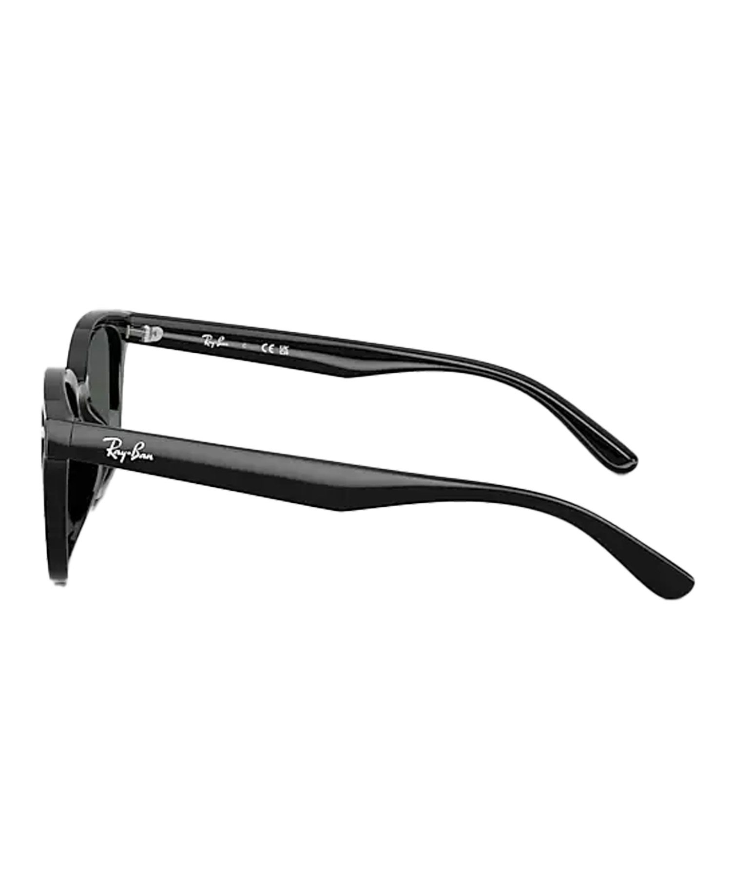 Ray-Ban レイバン サングラス UVカット 紫外線対策 0RB4461D601/87(01/87-ONE)